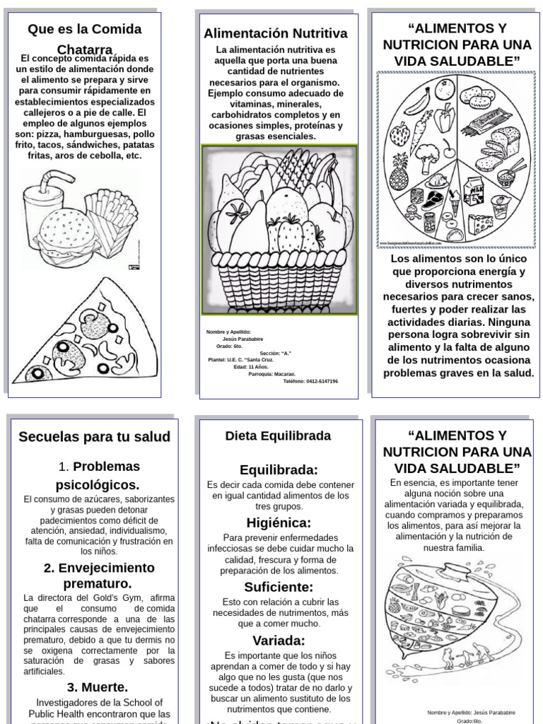 Alimentos y Nutricion para Una Vida Saludable | PDF | Alimentos | Nutrición