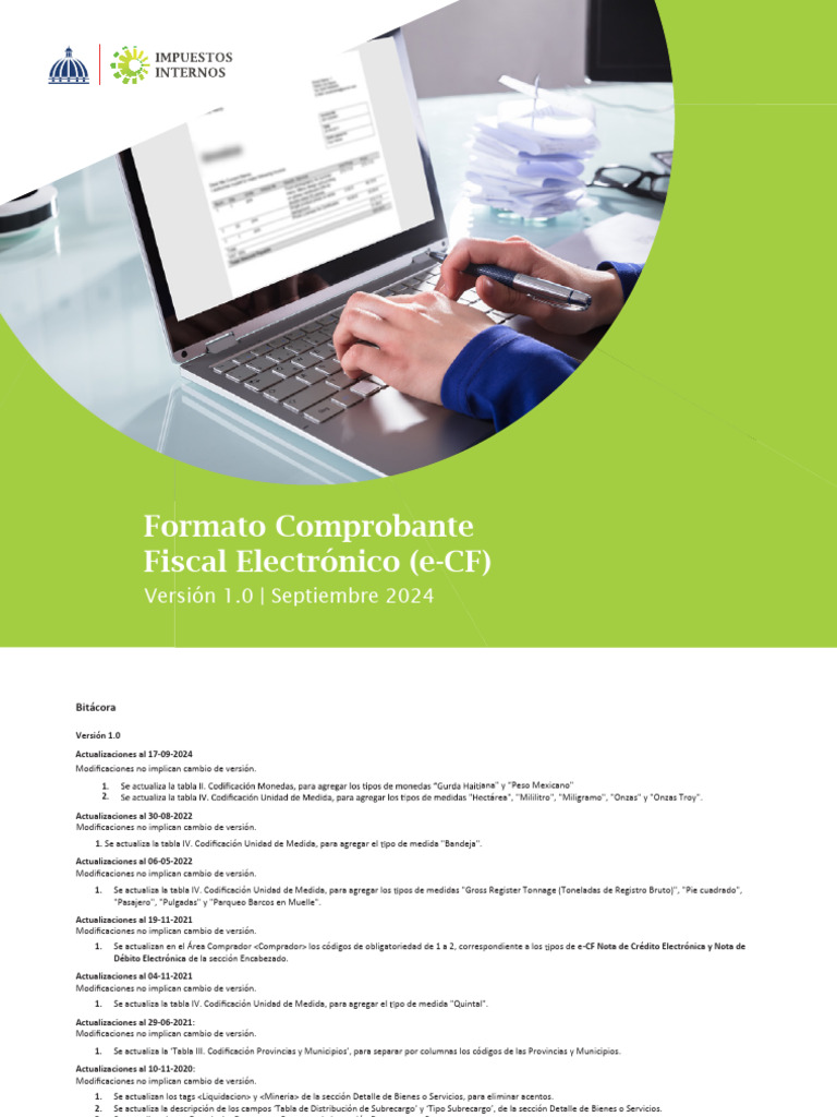 Formato CCFE V1.0 | PDF | Tecnología bancaria | Pagos