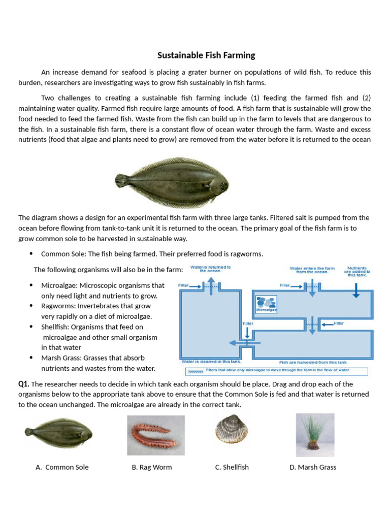 Sustainable Fish Farming Practices | PDF | Fish | Foods