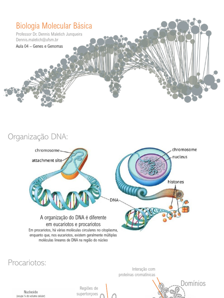 Estrutura e Função do DNA em Células | PDF | Cromossomo | Gene