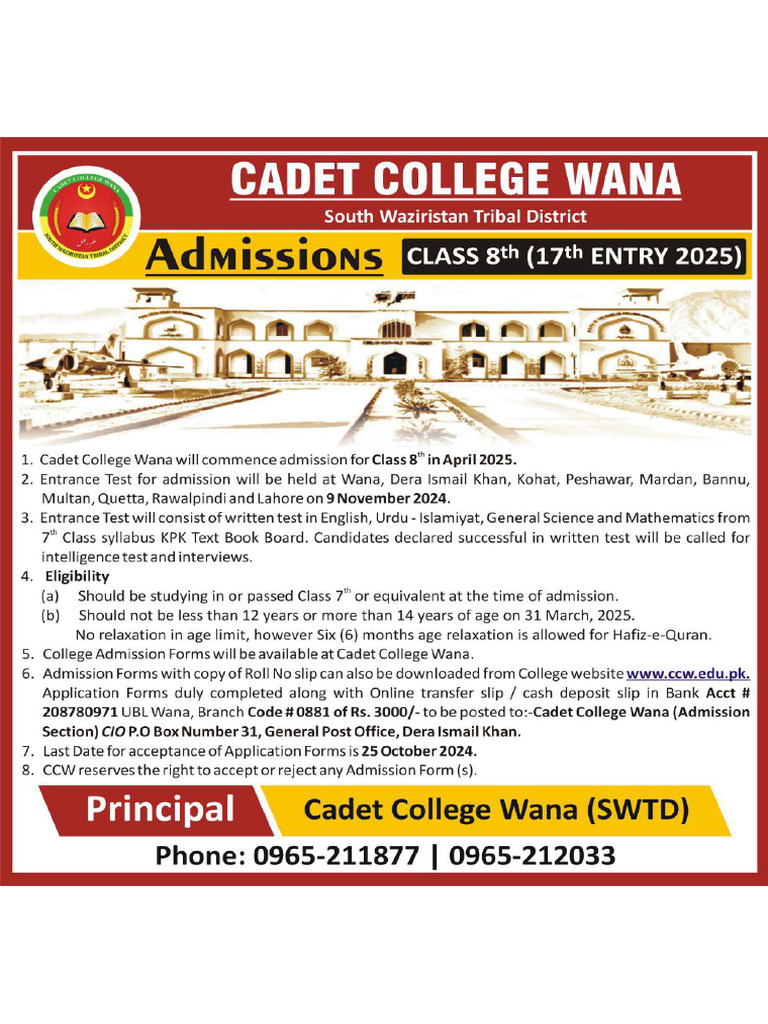 Advertisement 08 2024 | PDF
