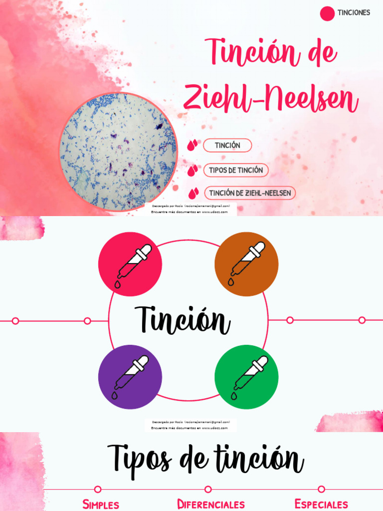 tinci-n-de-ziehl-neelsen-en-microbiolog-a-pdf-tinci-n-mycobacterium