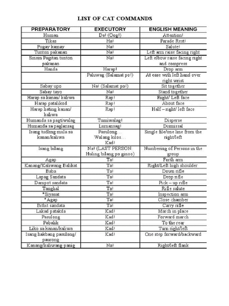 Command List | PDF
