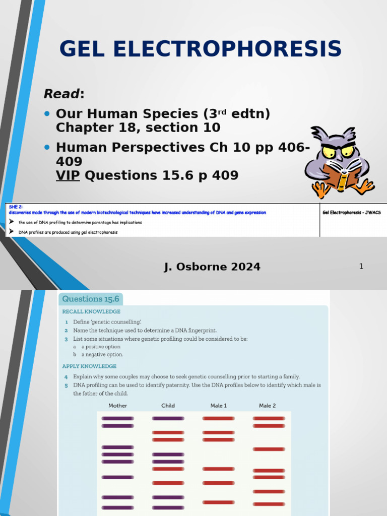 Understanding DNA Profiling Techniques | PDF | Microsatellite | Dna