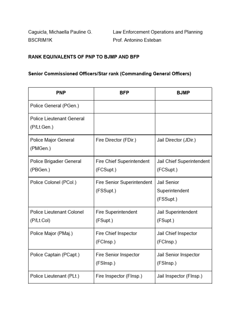 Operations and Planning Assignment1 | PDF | Inspector | Sergeant