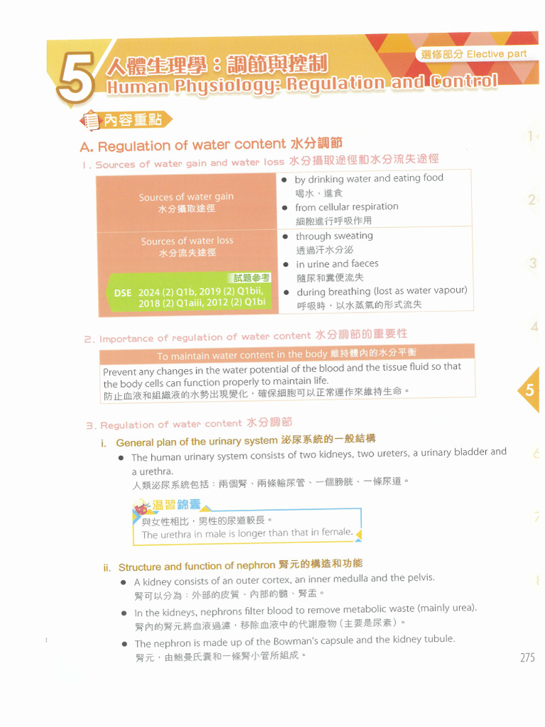 05 E1 Regulation and Control 調節與控制 | PDF