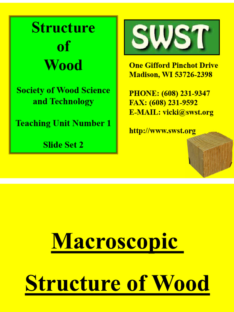 SWST-Structure of Wood | PDF | Wood | Cellulose