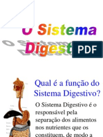O Sistema Digestivo