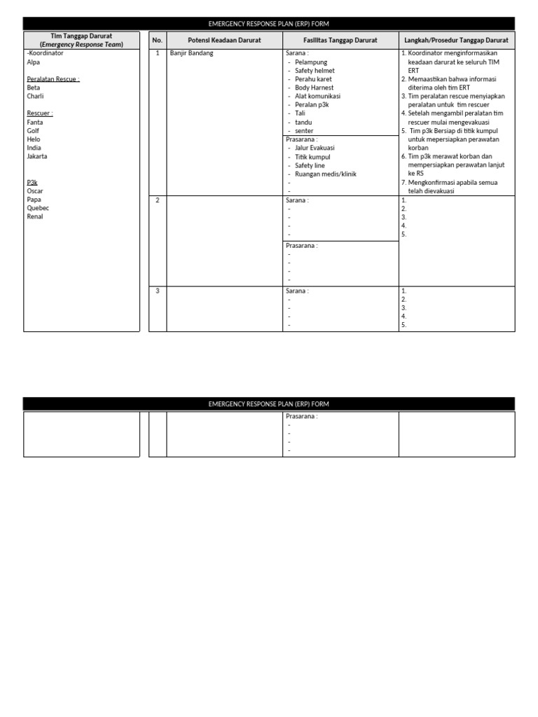 Form ERP | PDF