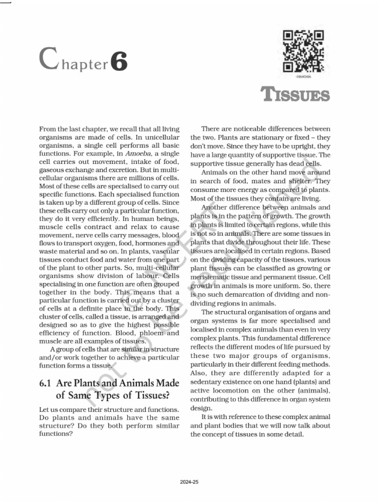 Ncert Science | PDF
