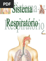 O Sistema Respiratório