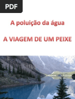 Poluição Da água - A Viagem Do Peixe