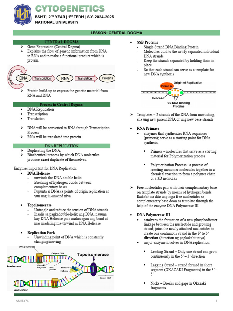 CENTRAL-DOGMA | PDF | Rna | Dna