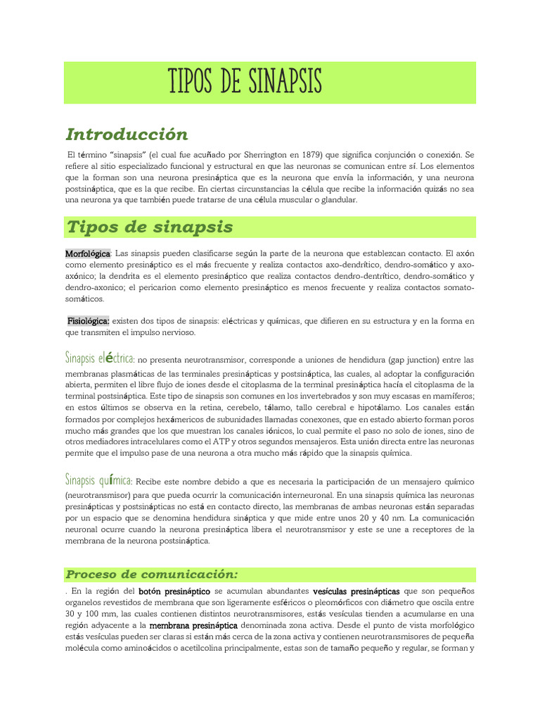 Tipos de Sinapsis: Eléctrica y Química | PDF | Sinapsis | Sinapsis química
