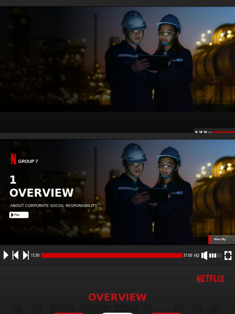 Netflix 4 | PDF | Corporate Social Responsibility | Business Economics
