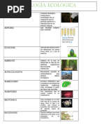 Palabras y significados con prefijo bio | PDF | Tierra | Biología