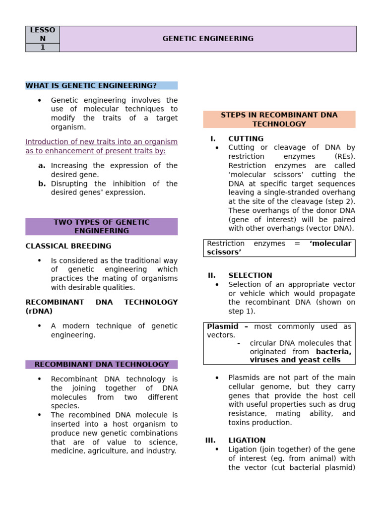Understanding Genetic Engineering Basics | PDF | Recombinant Dna ...