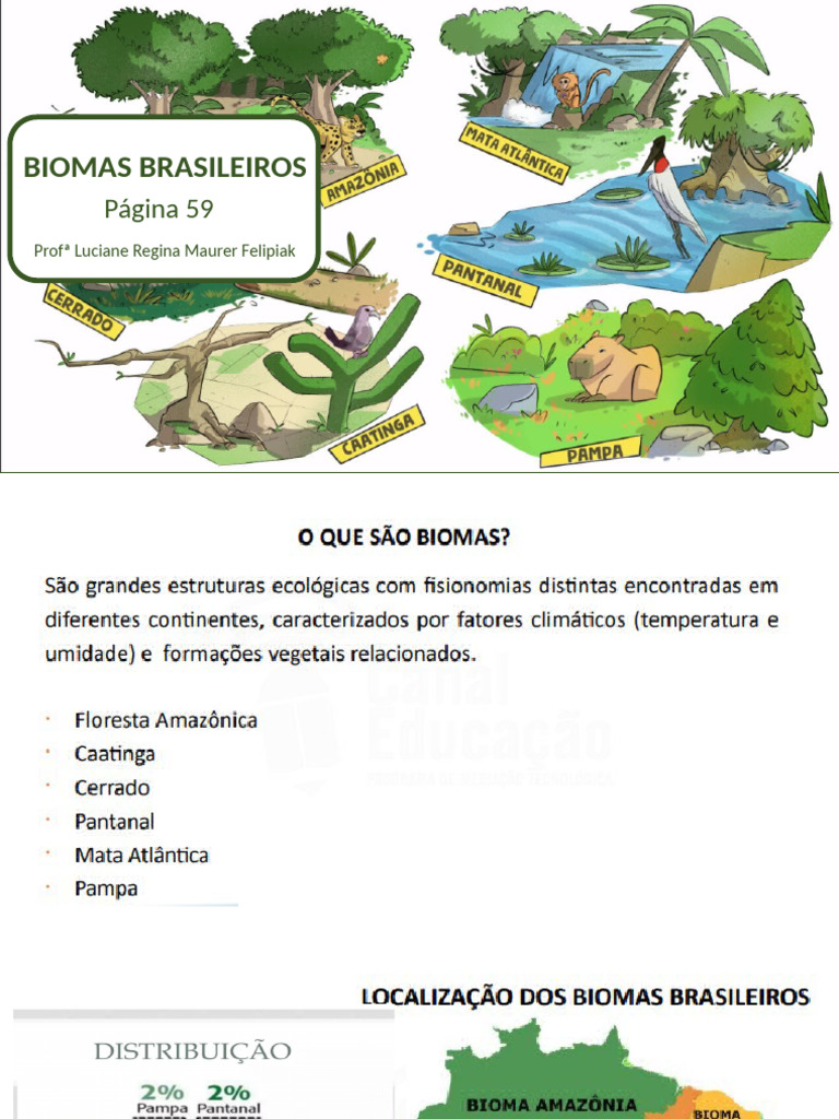 Biomas Brasileiros: Riqueza e Desafios | PDF | Florestas | Pasto