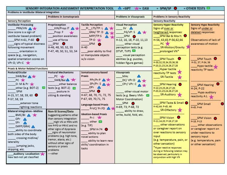 Sensory Integration Assessment Guide | PDF | Somatosensory System | Senses