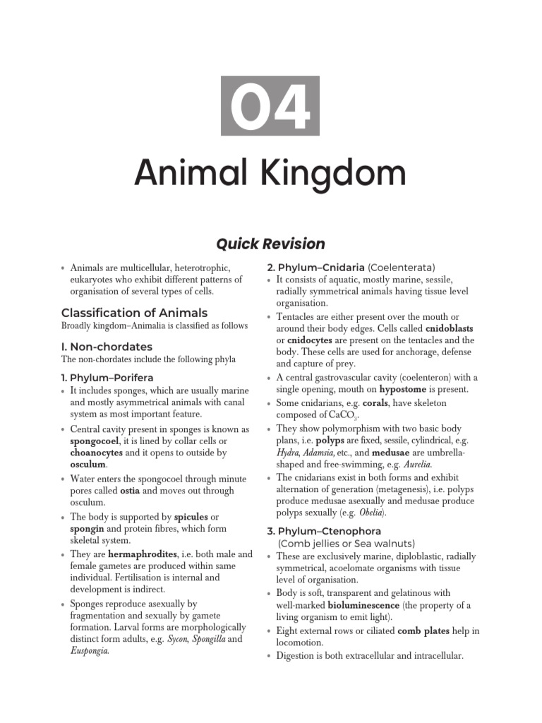 Animal Kingdom 1 Pdf Sponge Mollusca