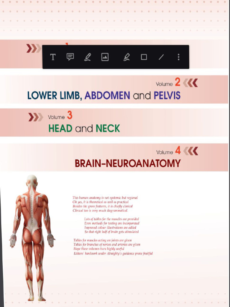 Anatomy Index | PDF