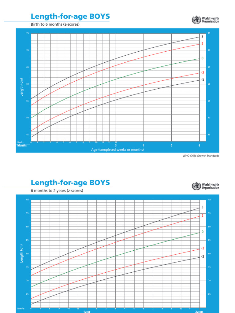 WHO Growth Standards for Boys | PDF | Obesity | Human Body Weight