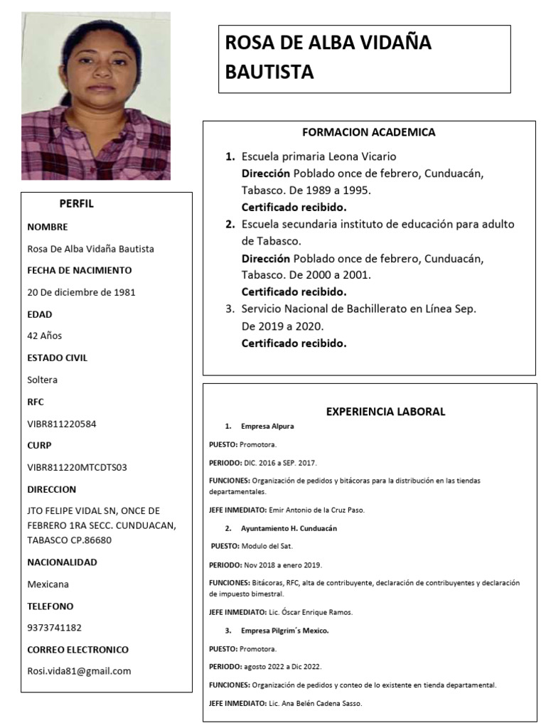 CV Rosa de Alba Vidaña Bautista 2024 I I | PDF