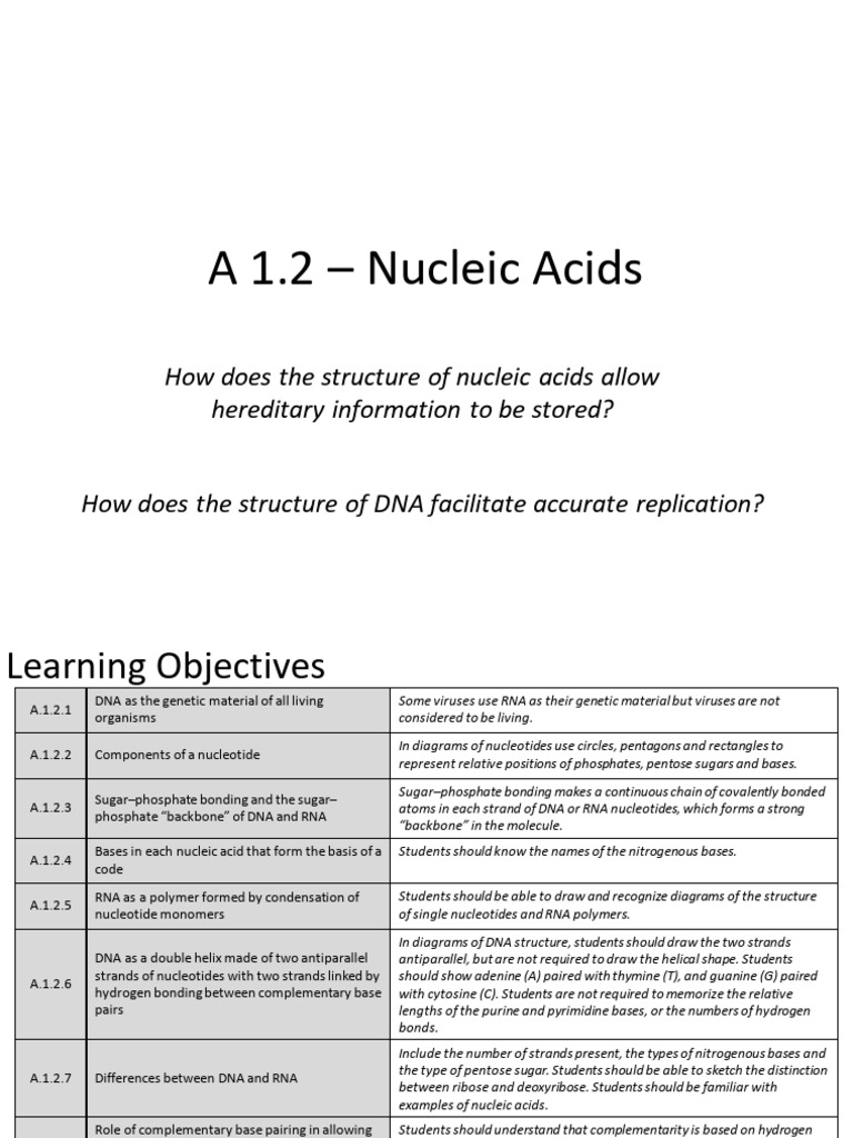 Understanding Nucleic Acids Structure | PDF | Dna | Nucleotides
