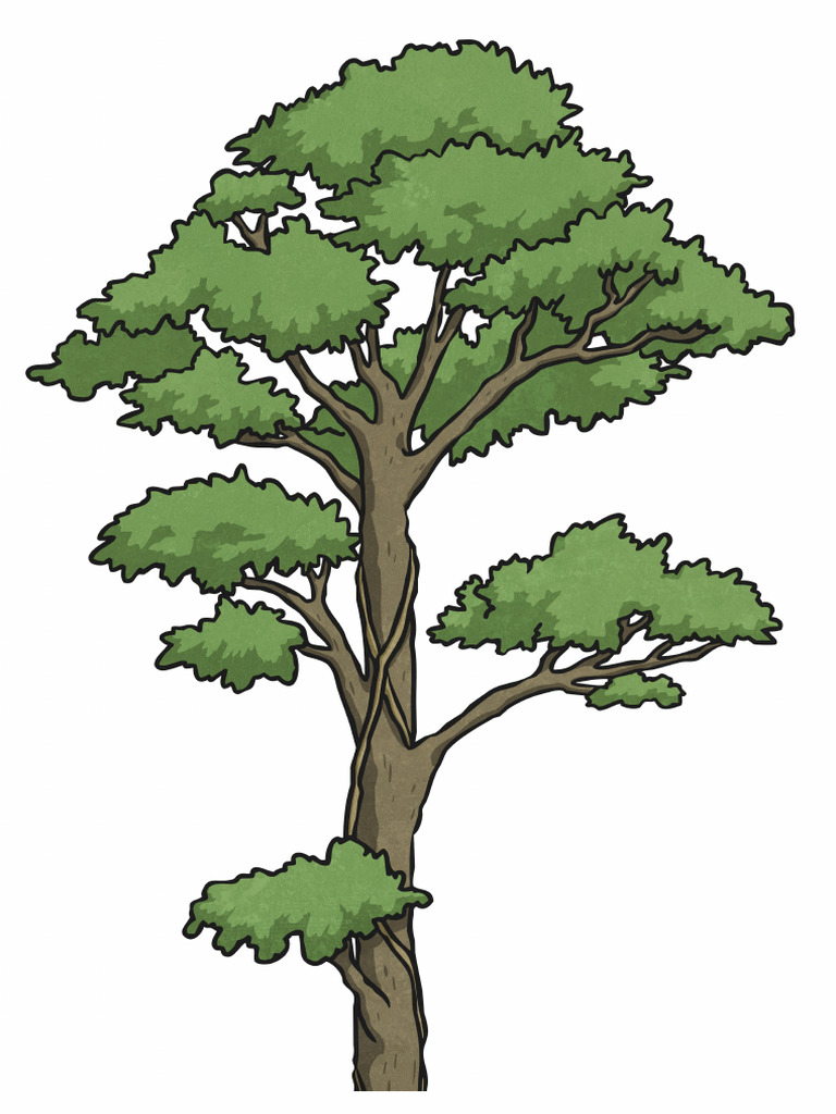 Rainforest Tree Large Display Cut-Out | PDF