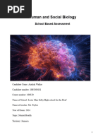 POB SBA Guidelines 2025 Overview | PDF