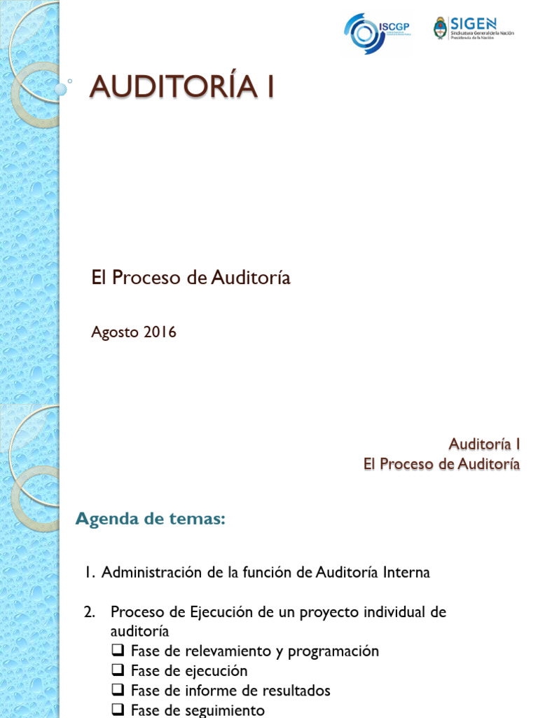 Proceso de Auditoría Interna: Guía Completa | PDF | Auditoría | Contralor