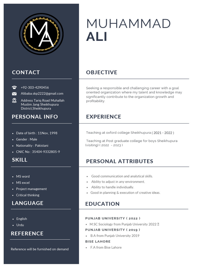 Muhammad Ali Baba's CV Summary | PDF