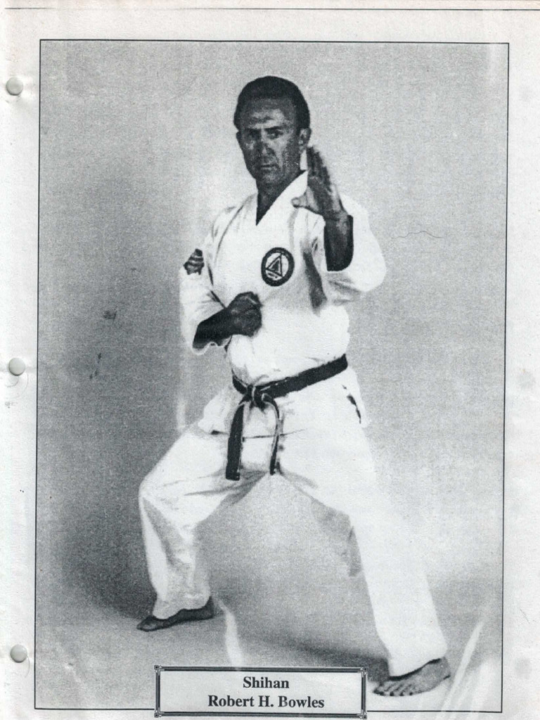 Kyu Standards of Shuri-Ryu - Robert Bowles | PDF