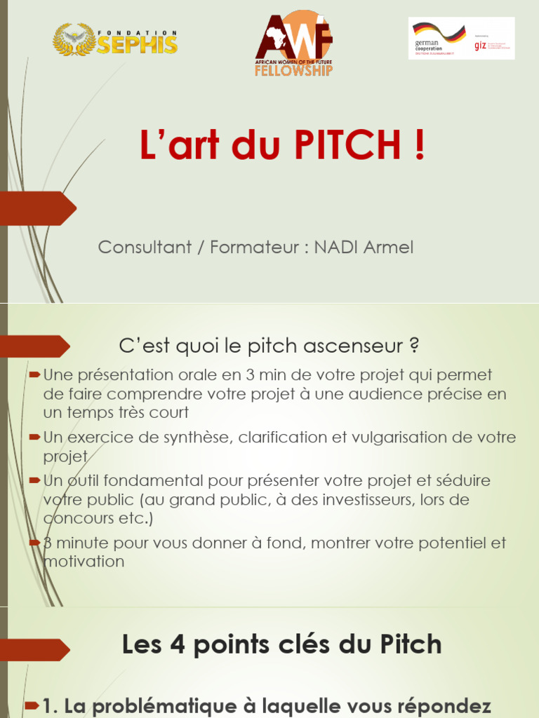 Maîtriser l'Art du Pitch Projet | PDF