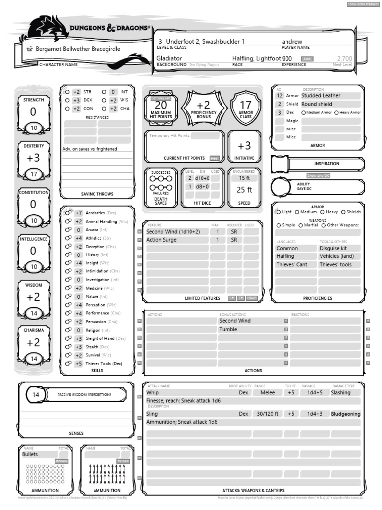 D&D 5E Character Record Sheet | PDF