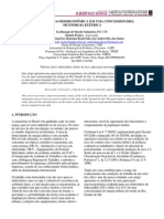 Apreciação Macroergonômica de Uma Concecionária de Energia E