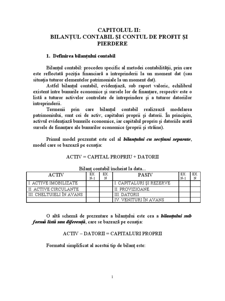 Bilantul Contabil Si Contul de Profit Si Pierdere | PDF