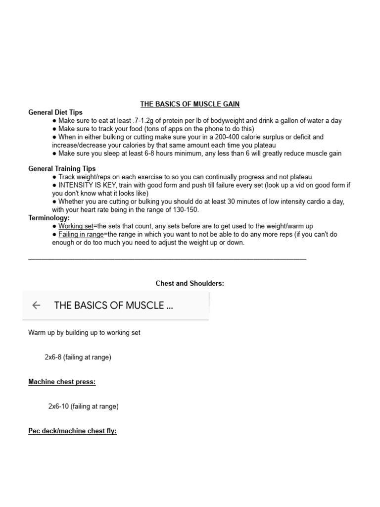 Muscle Gain Basics: Diet &amp; Training Guide | PDF | Weight Training