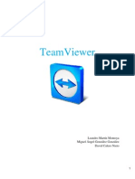 Team Viewer