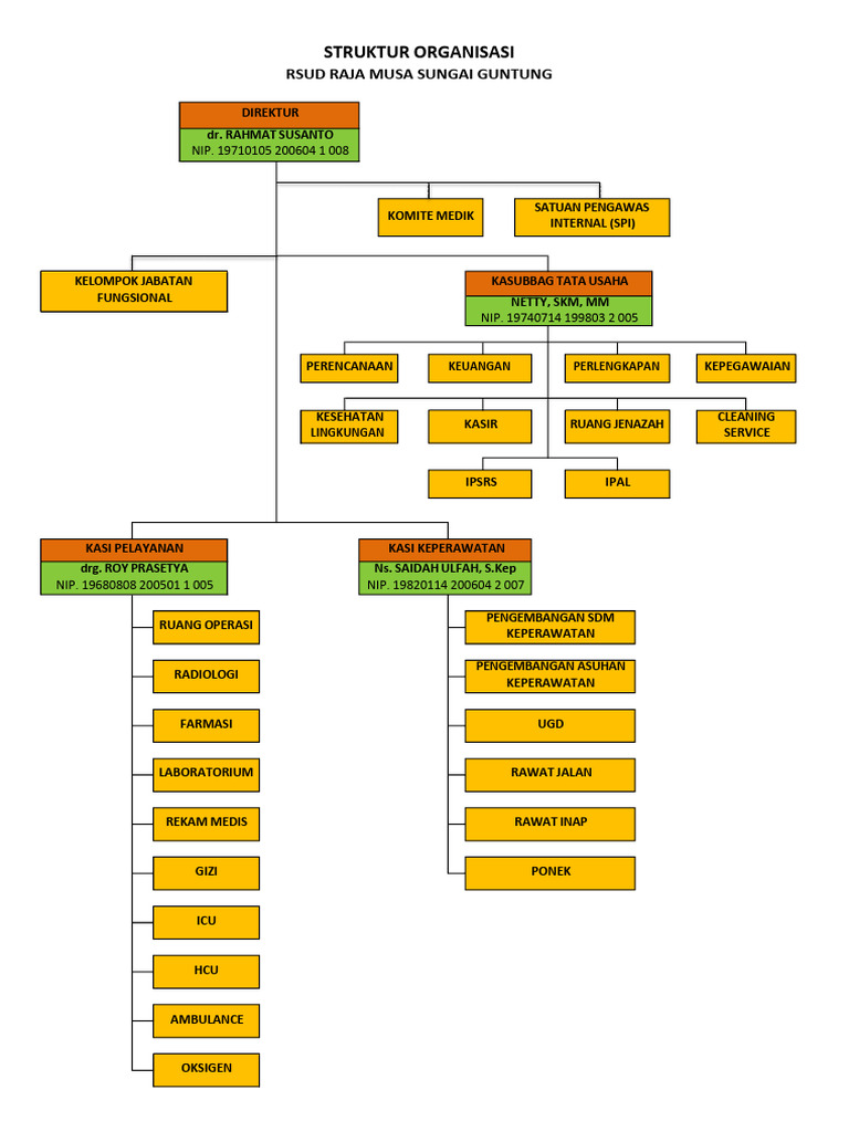Struktur Organisasi RSUD Raja Musa | PDF