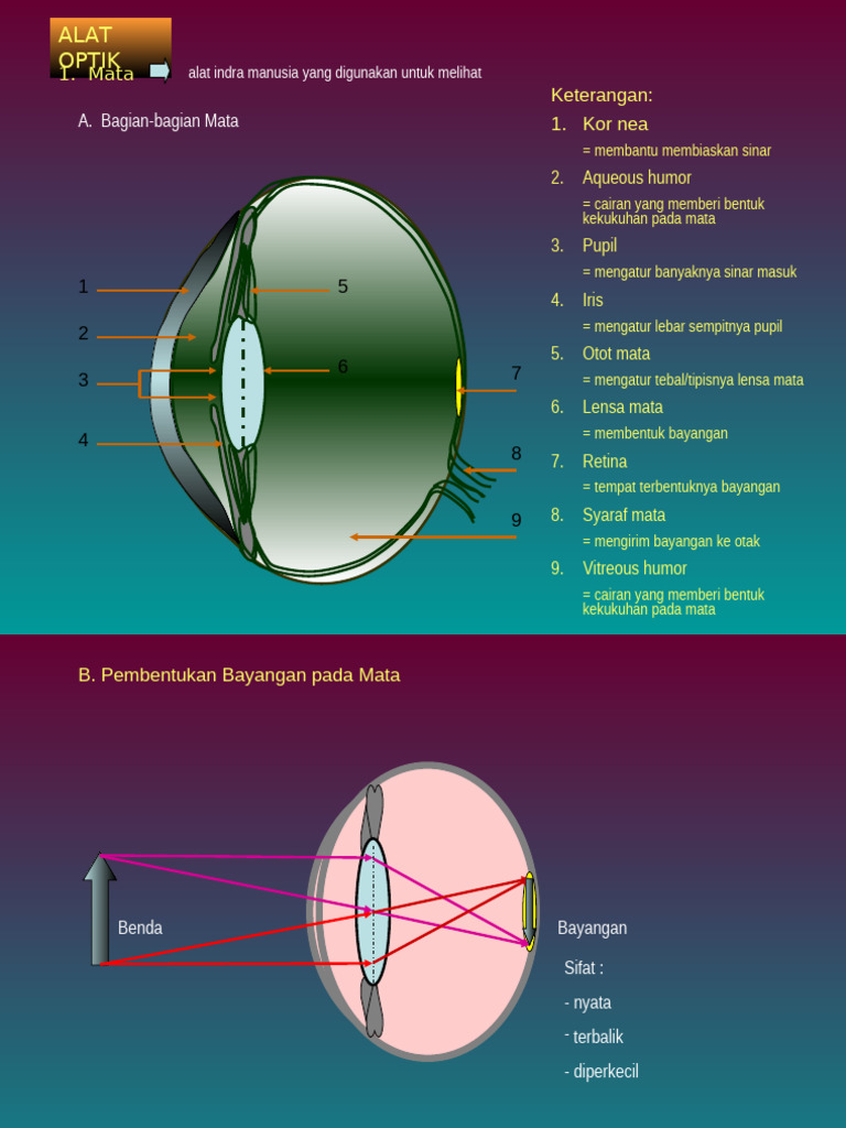 Alat Optik . | PDF