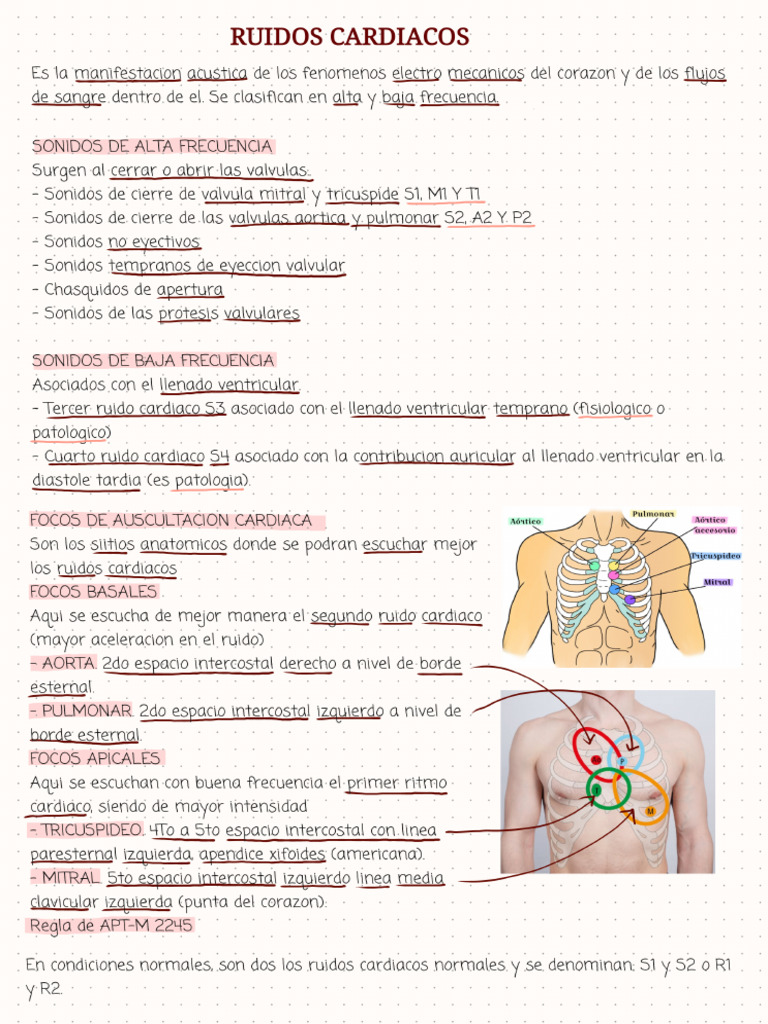 Ruidos Cardiacos | PDF
