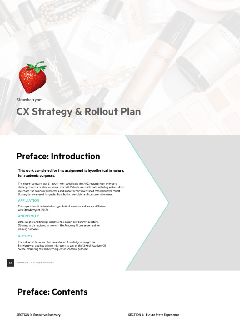 AXI CEXO - StrawberryNet CX Strategy & Plan | PDF | Customer Experience ...
