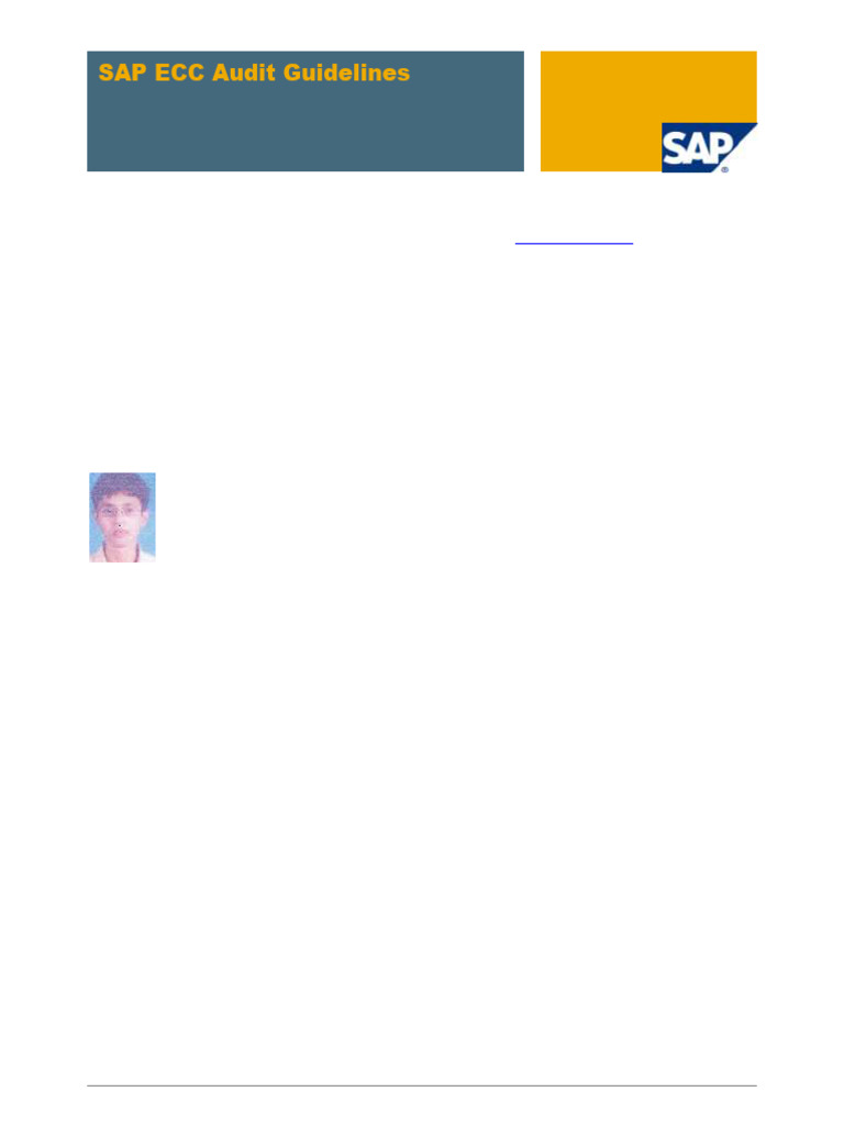  sap ecc audit guidelines pdf superuser audit