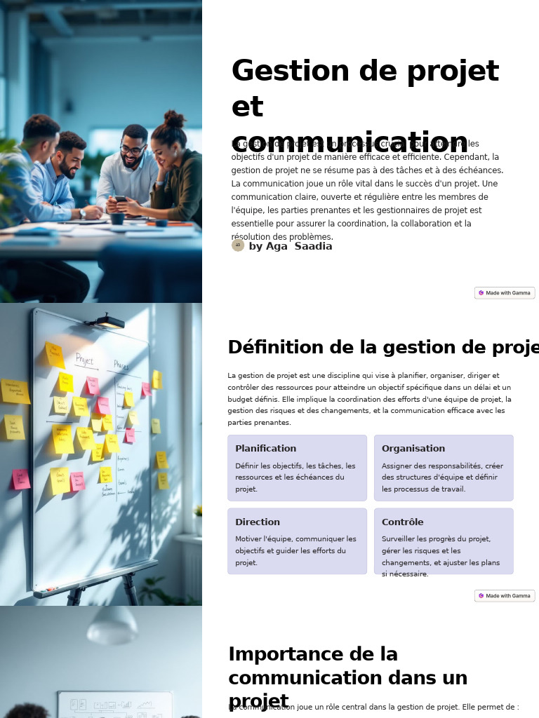 Communication et gestion de projet efficace | PDF | Gestion de projet