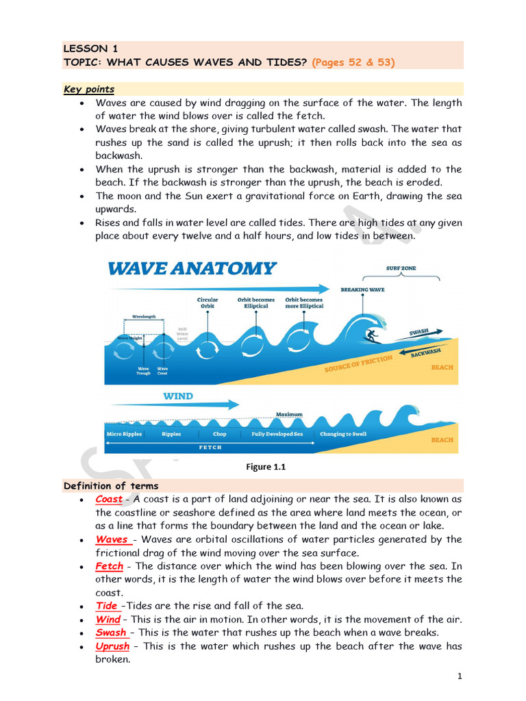 Causes and Effects of Waves and Tides | PDF | Erosion | Coast