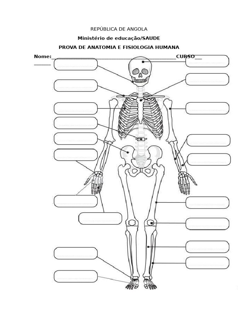 Prova De Anatomia 2024 Pdf