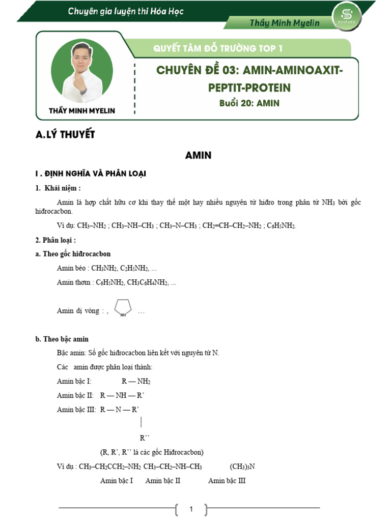 Amin | PDF