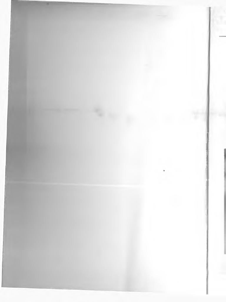 Qadimgi BBWlar ishtirokidagi havaskor uy qurilishi pornosini onlayn tomosha qiling