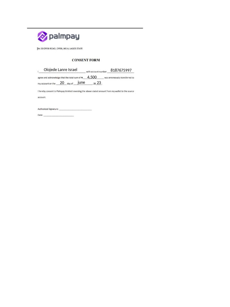 Palmpay Ussd Code Number